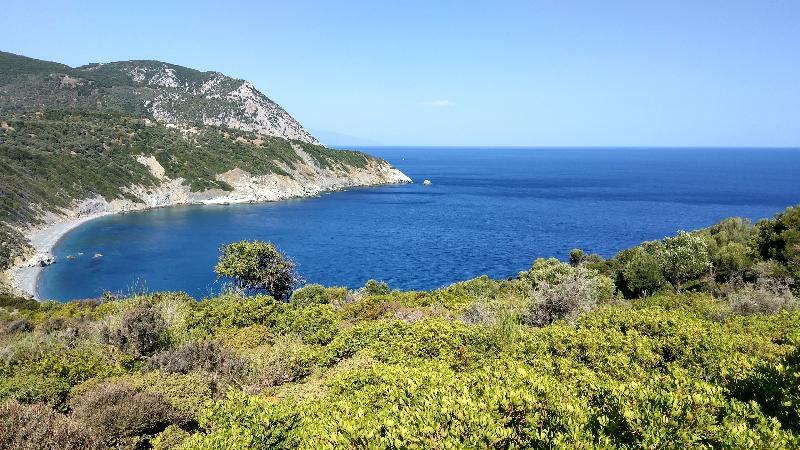 Aegean Sea Skiathos Villa Kalivia (Skiathos)